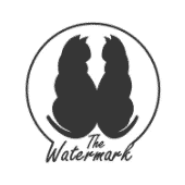 Door supervision in Leeds client portfolio the Watermark Bar logo